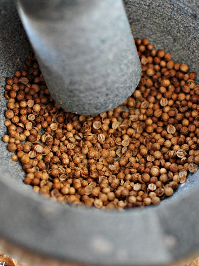 Grind Coriander