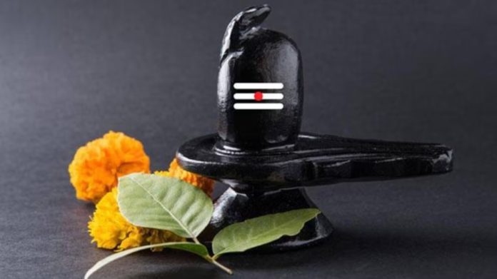 keep shivling at home