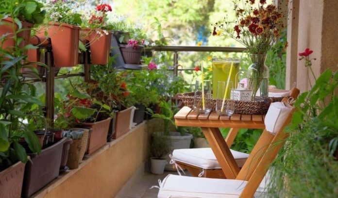 Ideas for Home Garden