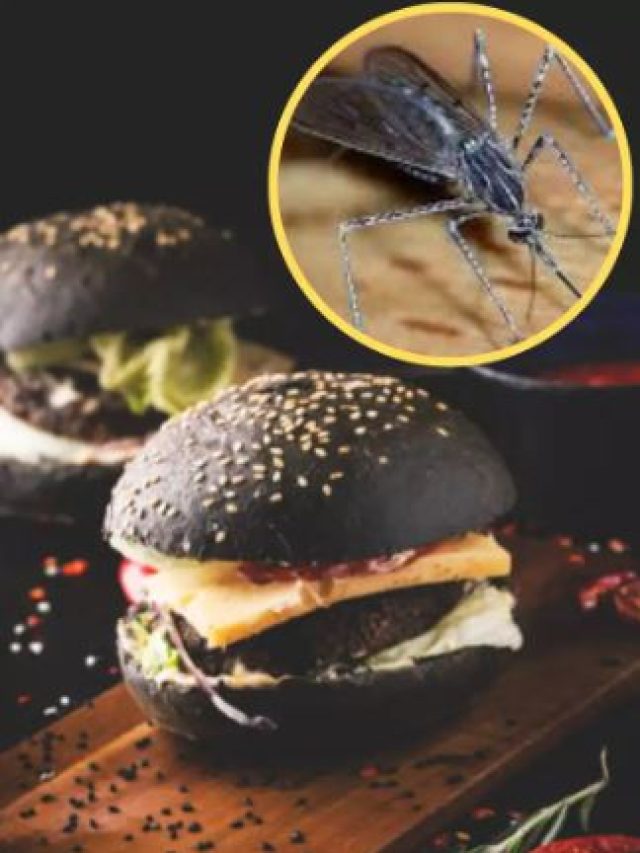 Mosquito Burger
