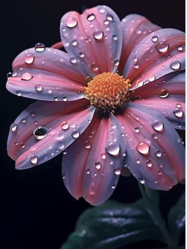 most expensive flowers in the world