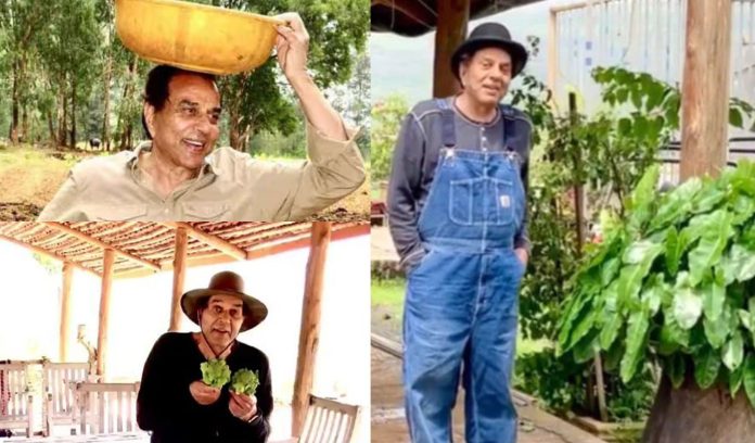Superstar Dharmendra farming Superstar Dharmendra farming