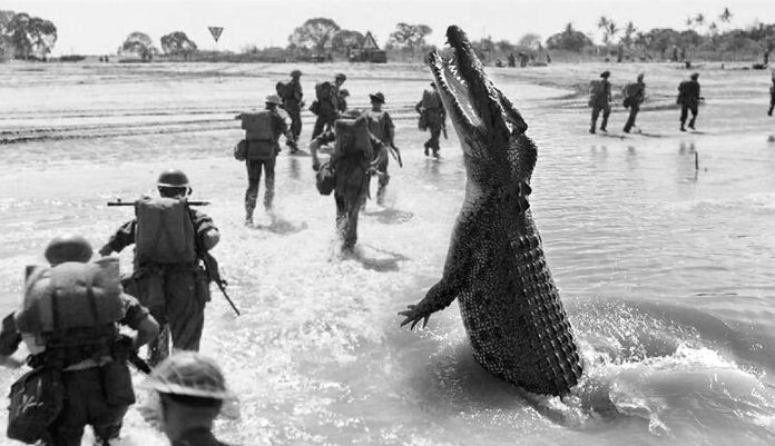 crocodile attack on japanese army