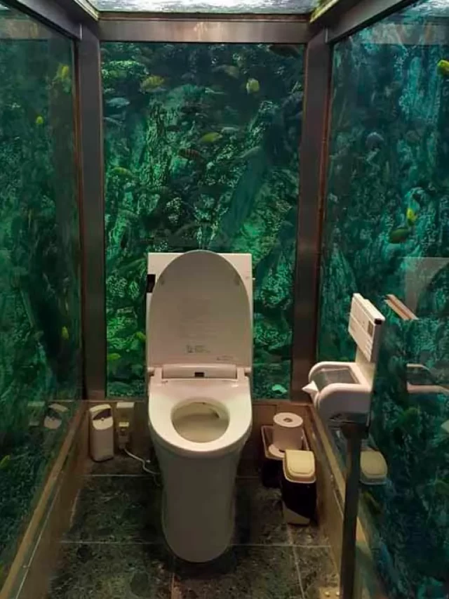 Japanese Toilets tour