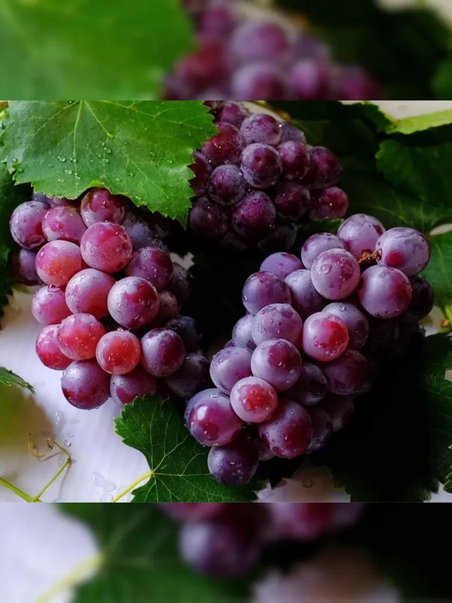 Ruby Roman Grapes price