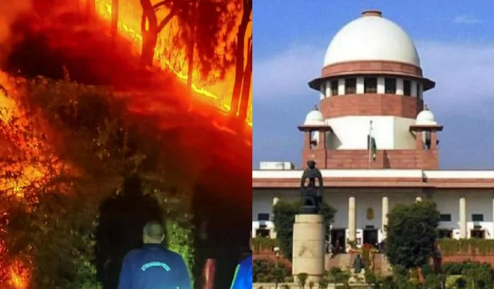 Supreme Court reprimands Dhami government on burning forests of Uttarakhand Supreme Court reprimands Dhami government on burning forests of Uttarakhand