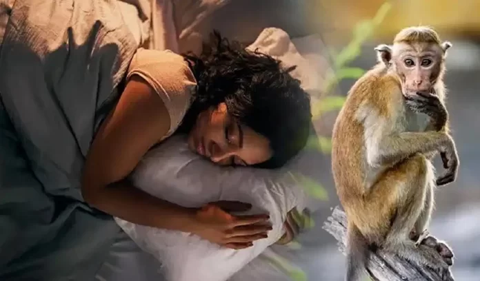 Is seeing a monkey in a dream auspicious or inauspicious, know what the dream science says