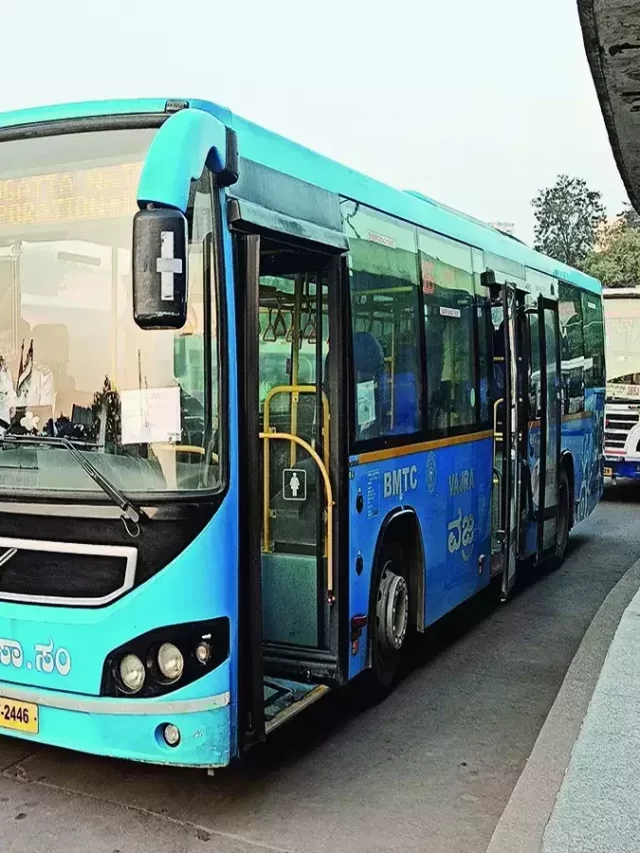 Bus