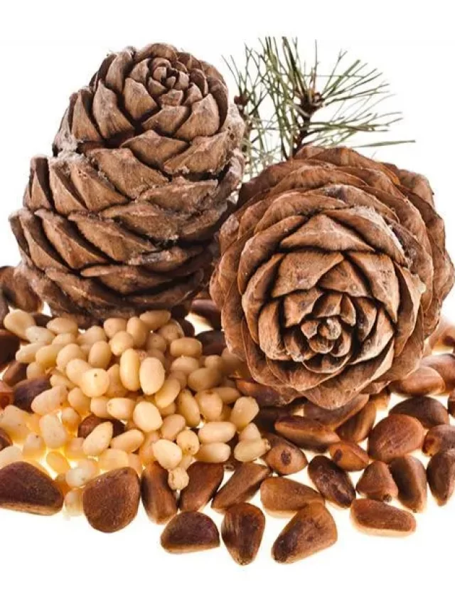 Pine Nuts
