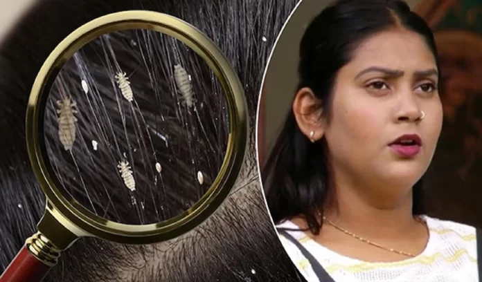 Know why Bigg Boss OTT contestants upset with Shivani Kumari