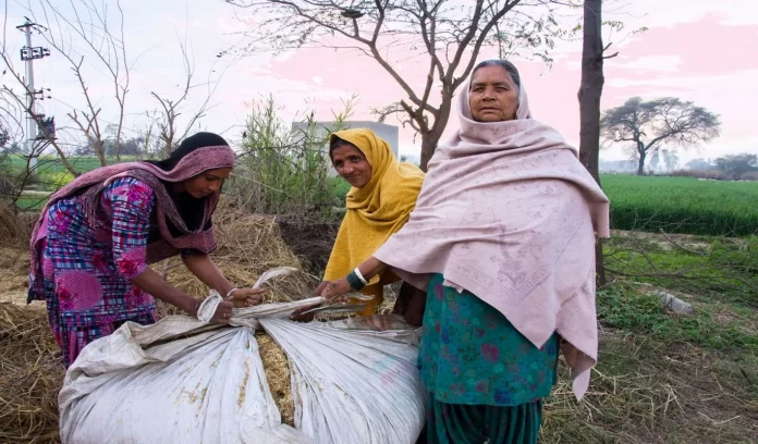 Punjab dalit women get farming rights