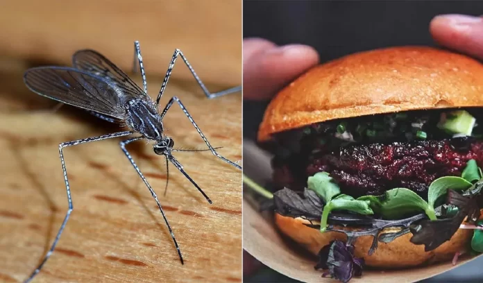 Africans are fond mosquito burgers Africans are fond mosquito burgers