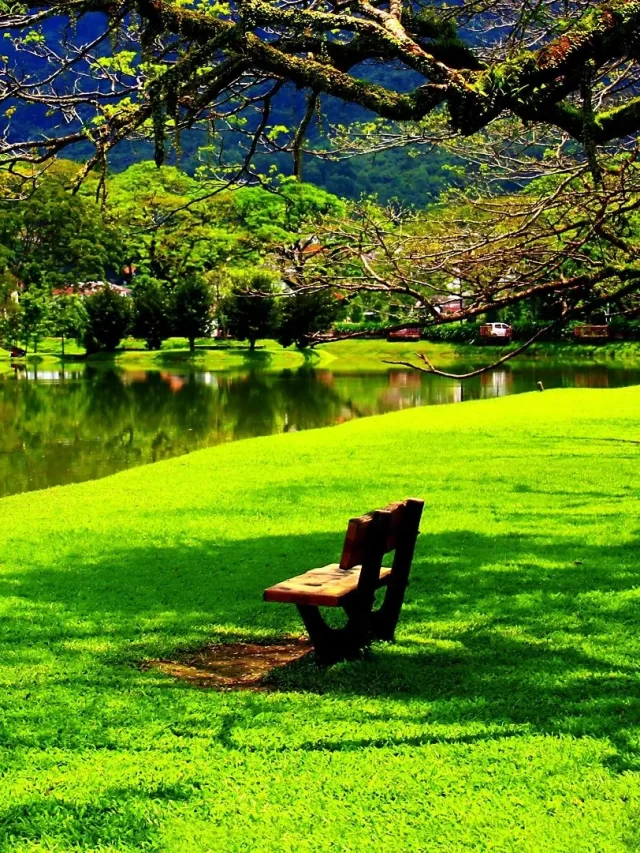 Beautiful Place