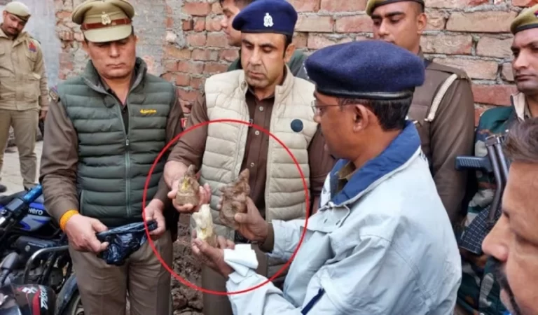 Sambhal Shiva Temple: संभल में 46 साल बाद खुला शिव मंदिर, कुएं से मिलीं प्राचीन मूर्तियां – इतिहास से जुड़े कई सवाल खड़े