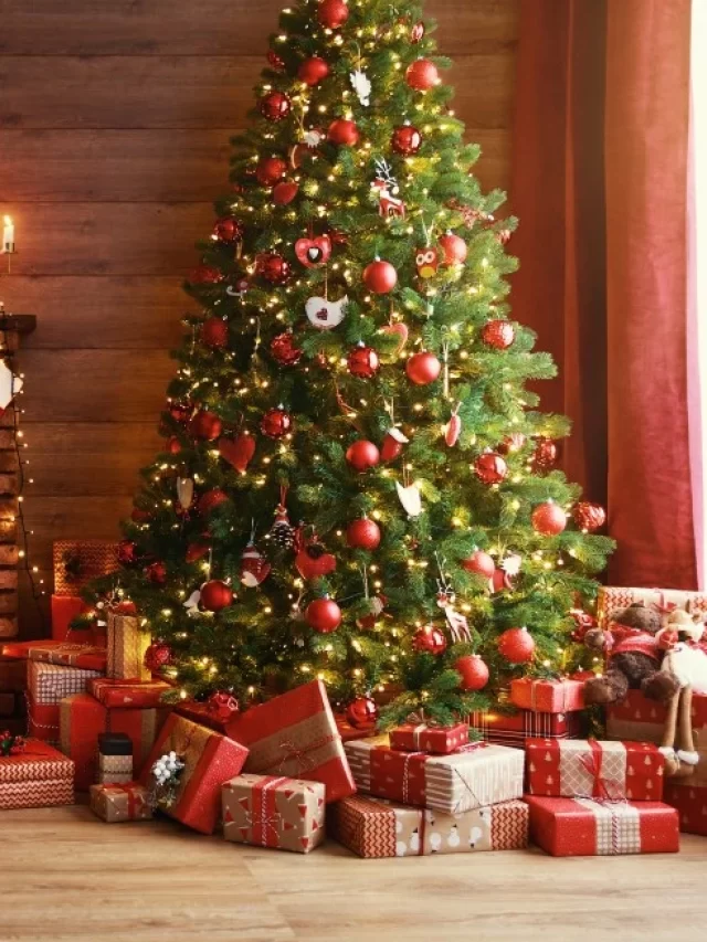 Christmas Celebration Ideas, Christmas party