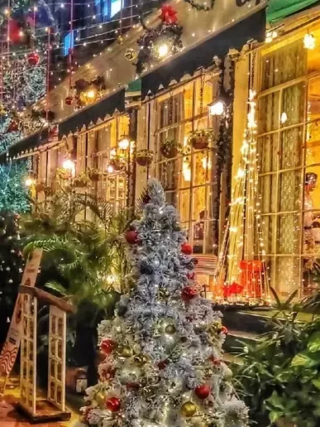 Delhi Cafes, Delhi Cafes for party