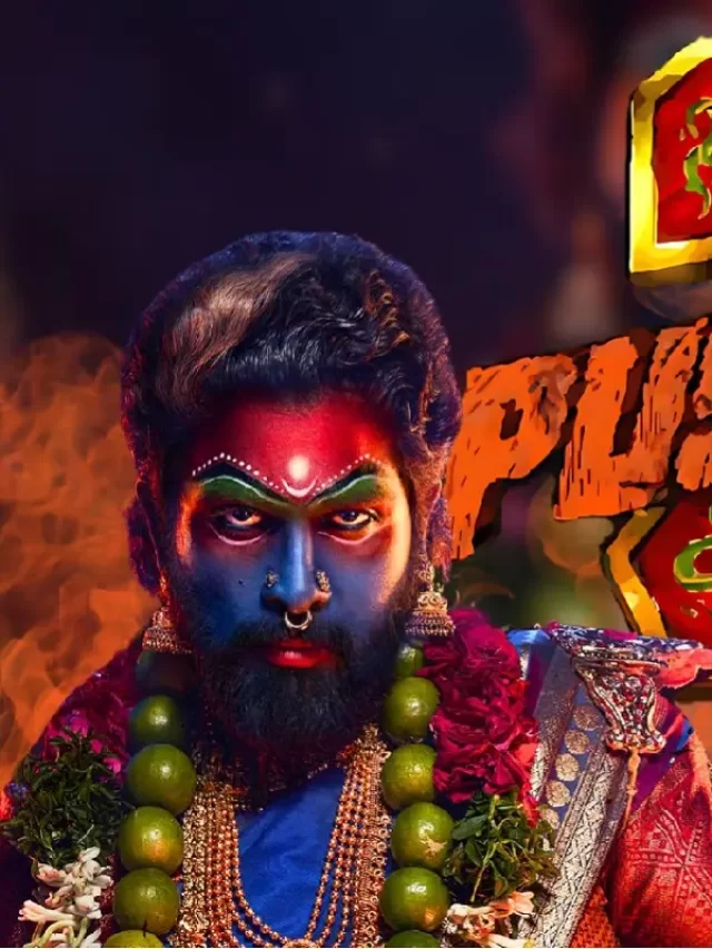 Pushpa 2, Pushpa 2 Film Review