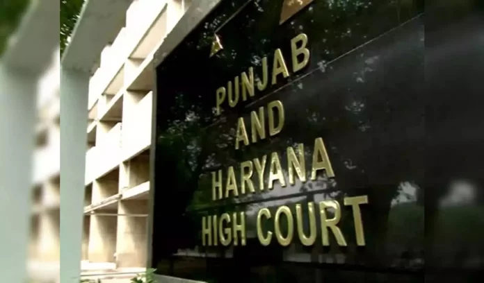 Punjab News High Court Accused Businessman Varinder Pal Singh Punjab News High Court Accused Businessman Varinder Pal Singh