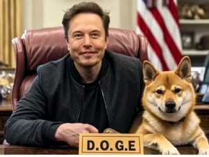 Elon Musk DOGE Resignation donald trump