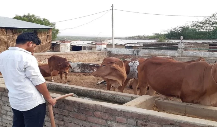 Animal Husbandry Business Animal Husbandry Business