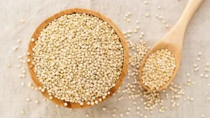Protein from Vegetarian Diet