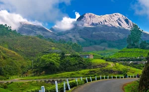 Munnar kerala 