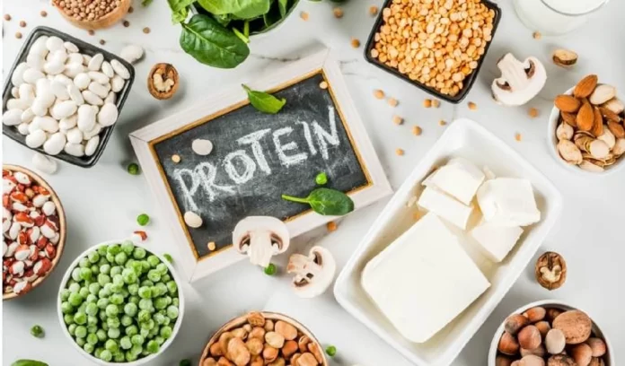 Protein from Vegetarian Diet