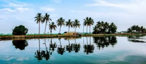 Kumarakom Backwaters