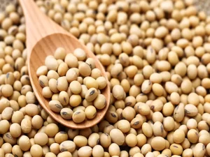 Protein from Vegetarian Diet