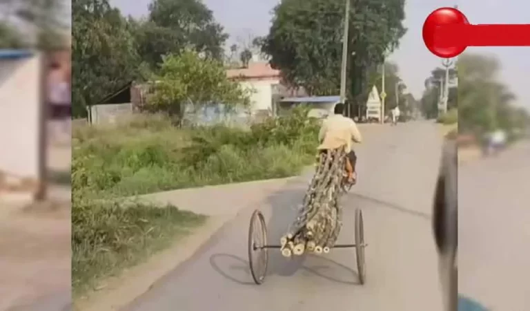 Desi Jugaad Viral Video: जब बाइक बनी लकड़ी ले जाने की अनोखी गाड़ी, देसी जुगाड़ ने सोश...