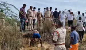 Andhra Pradesh Tirupati News