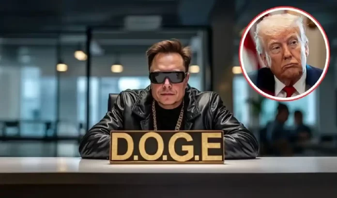 Elon Musk DOGE resignation