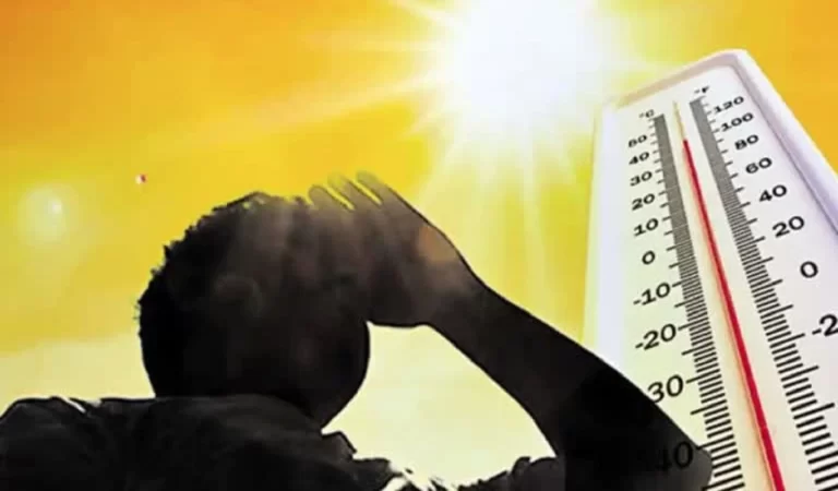 Summer Care Tips: जलवायु परिवर्तन के कारण कम तापमान में भी महसूस हो रही अधिक गर्मी, स...