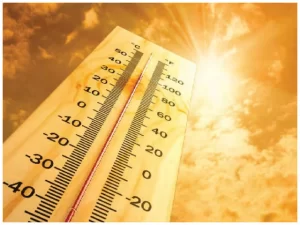 Summer Care Tips