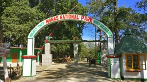 Manas National Park, Assam