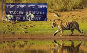 Maharashtra Famous adventure places