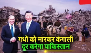 China-Pakistan Donkey Trade