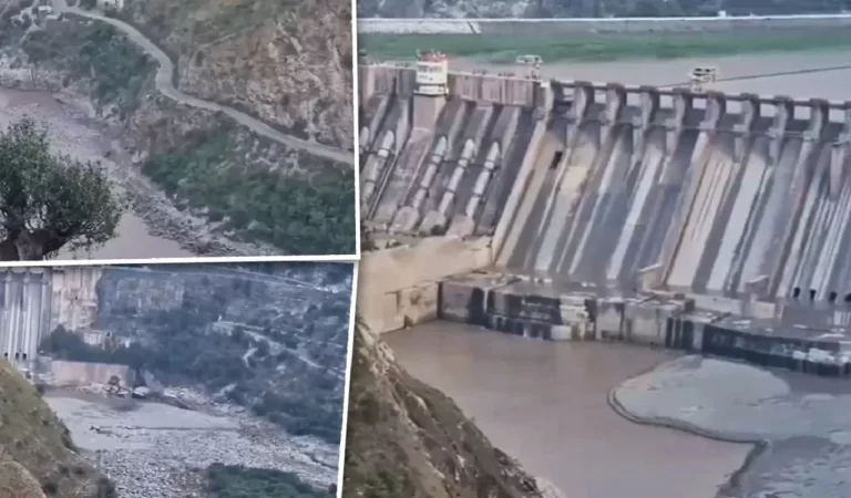 Indus Waters Treaty: भारत ने सिंधु नदी के पानी का उपयोग देश के चार राज्यों के लिए किय...