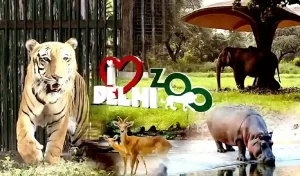 Transformation of Delhi Zoo