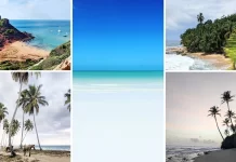 Top 5 Beach Destinations: गोवा से बाहर, भारत में 5 बजट फ्रेंडली बीच डेस्टिनेशंस जो आपको जरूर एक्सप्लोर करने चाहिए! Top 5 Beach Destinations