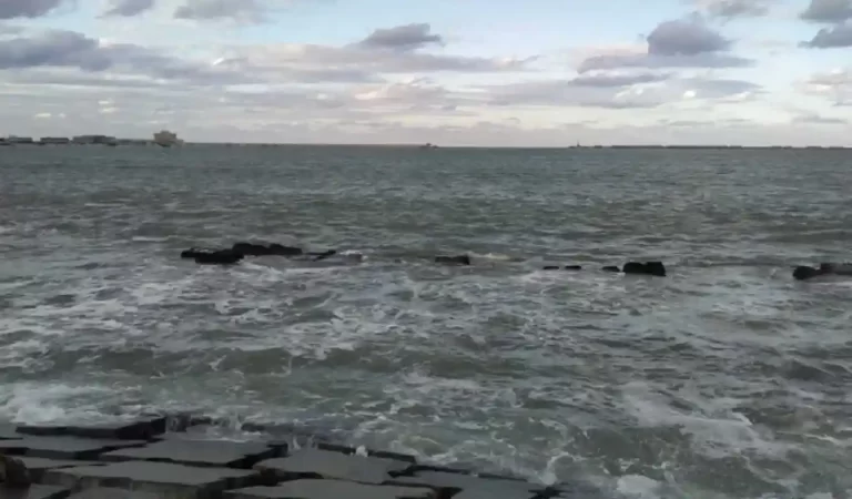 Ocean Turning Black: महासागर क्यों हो रहे हैं काले? जानिए हमारे जीवन पर इसका क्या प्र...