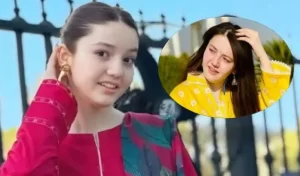 TikToker Sana Yousuf Murder