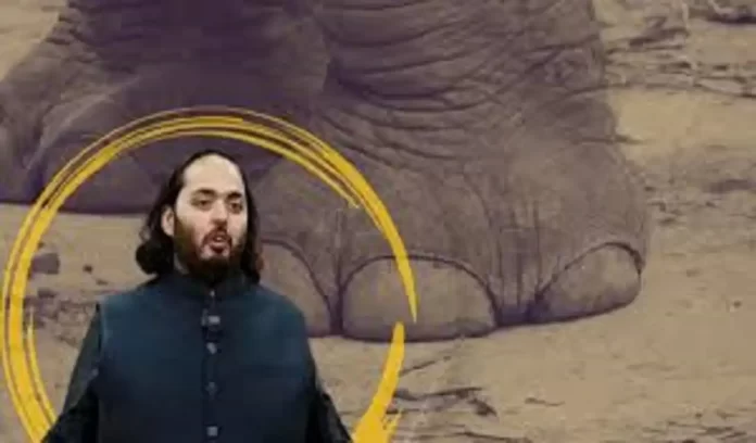 Transformation of Delhi Zoo