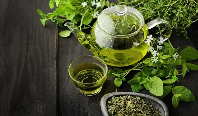 7 Best Green Teas: माचा से मोरक्कन मिंट तक, जानिए ग्रीन टी की सात किस्में जो आपके हेल...