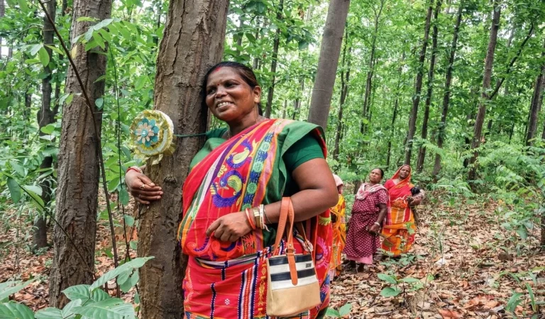 Padma Shri Jamuna Tudu: पहले बचाए हजारों पेड़, फिर मिला पद्मश्री… अब राष्ट्रपति...