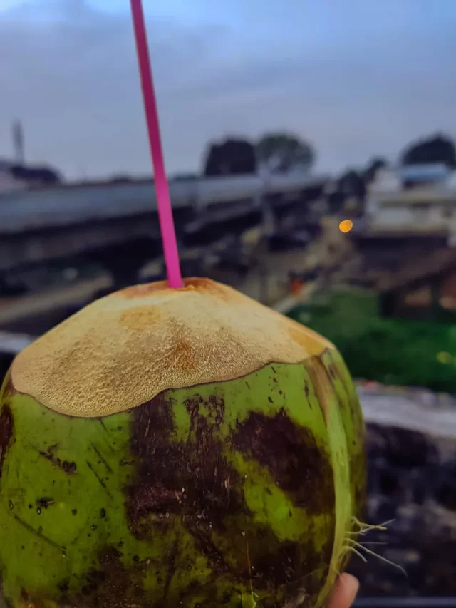 Raw-coconut-water, Stay Hydrated coconut water
