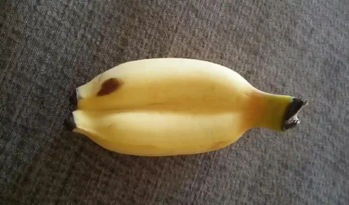 Miracle Fruit Benefits