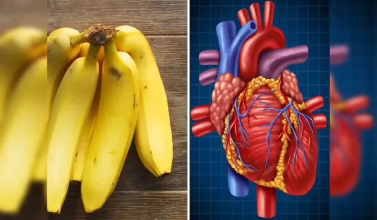 दिल की सेहत के लिए अमृत हैं ये 4 फल, जान लीजिए कौन-कौन से हैं
