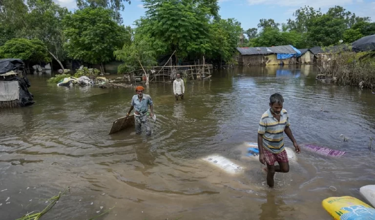 Punjab Flood News: 1902 गांव पानी में, 4 लाख लोग बेहाल, 23 जिले चपेट में और 43 मौतें…...