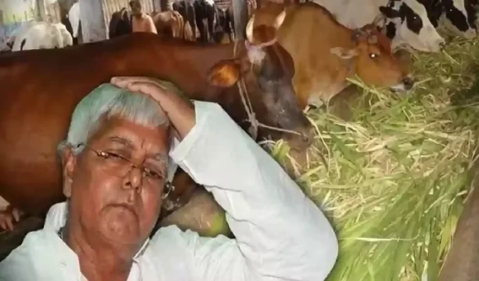 Bihar Chara Ghotala story Bihar Chara Ghotala story